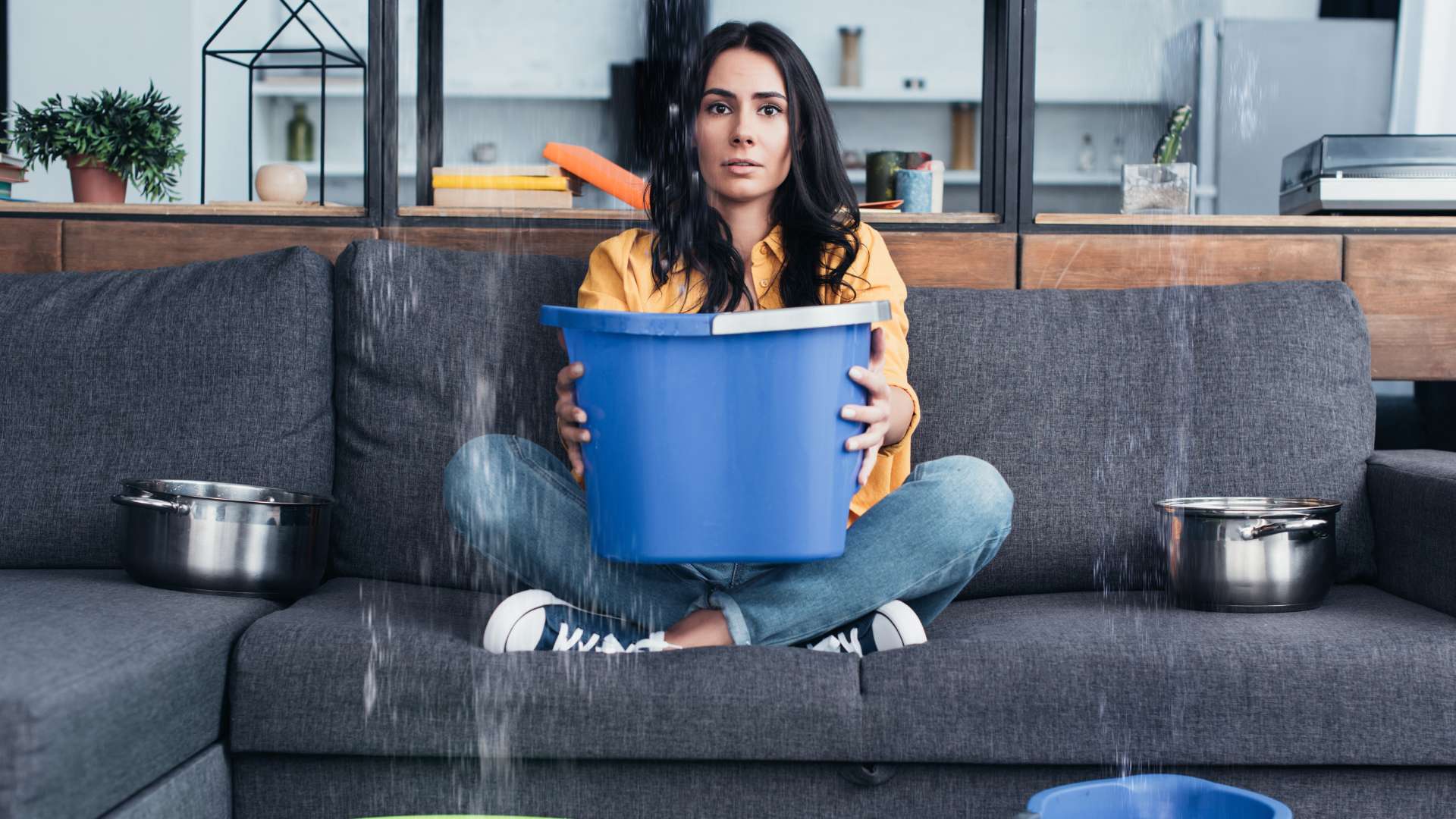 Mold growth in wall cavity requiring professional remediation